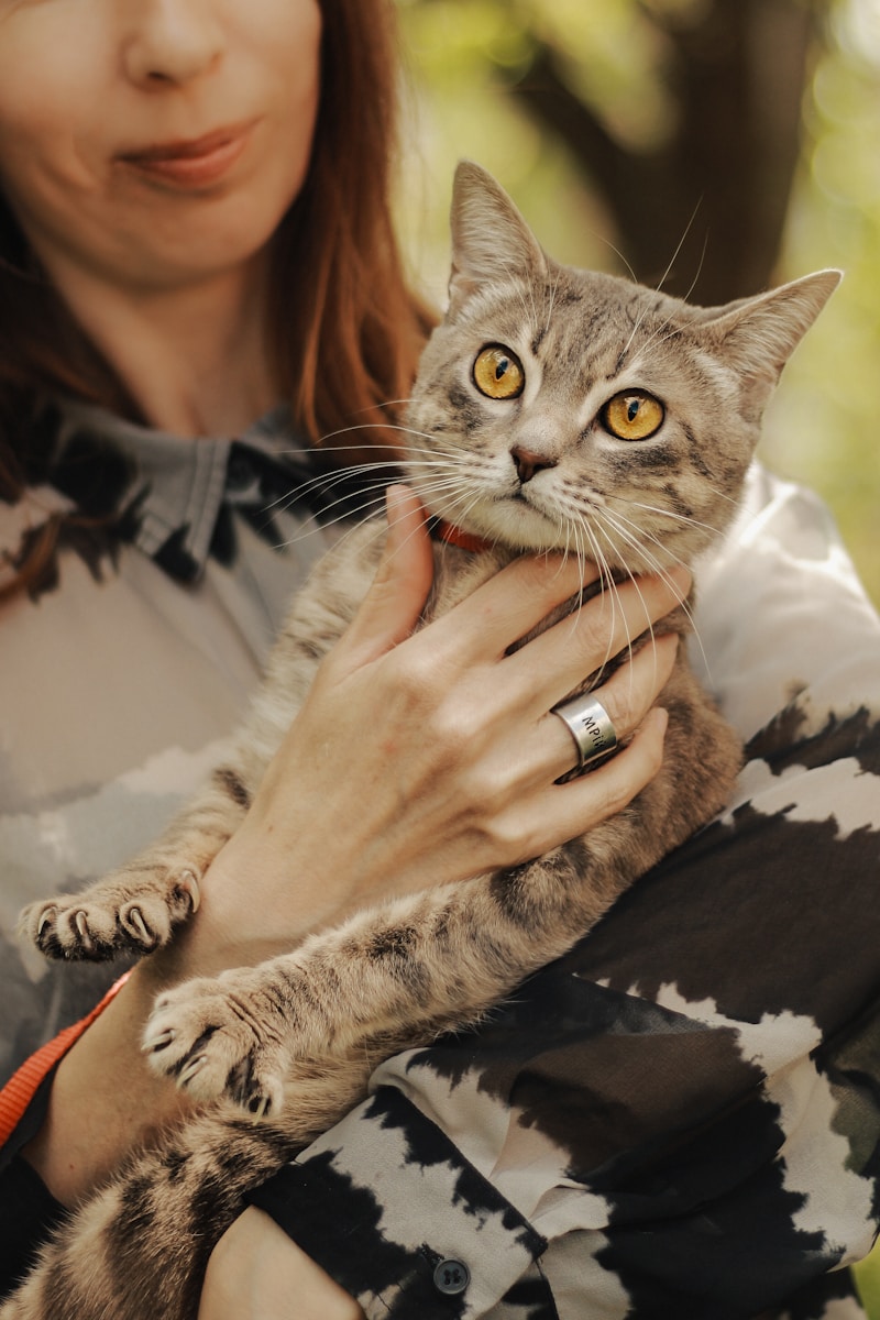 Cat care essentials