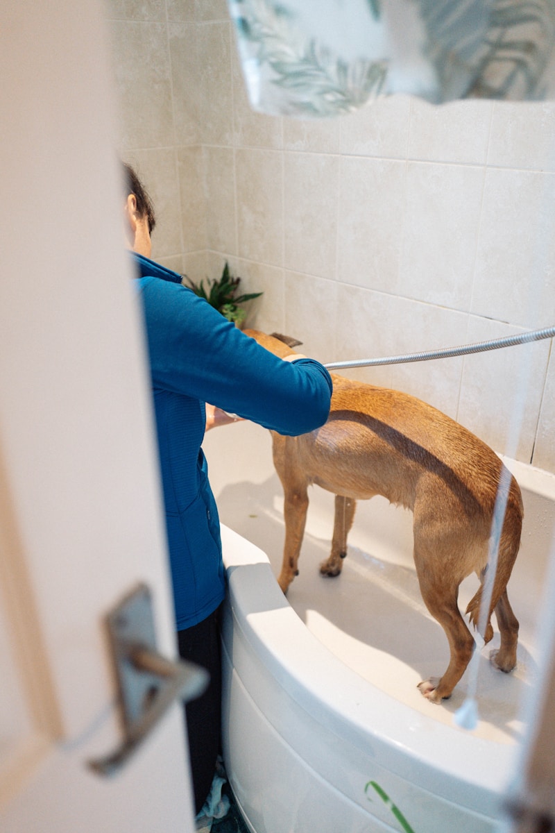 Pet grooming
