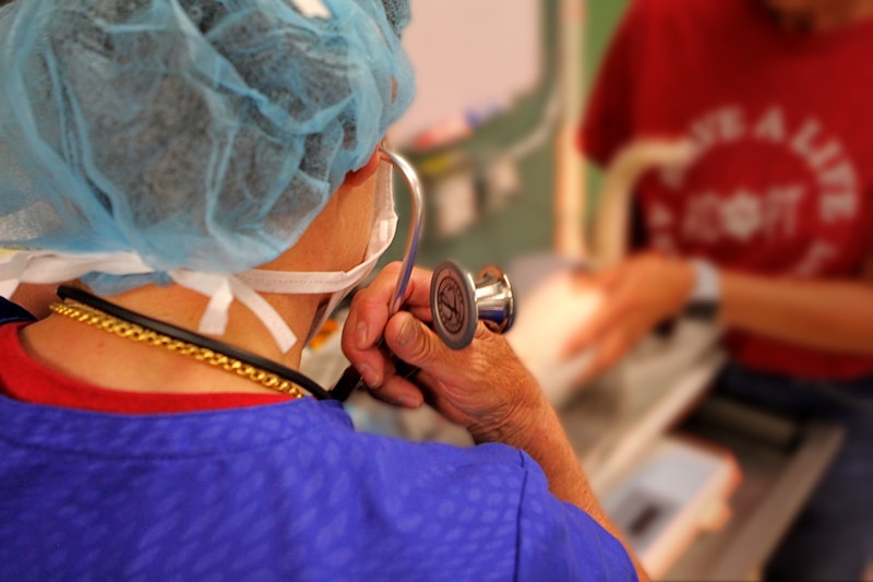 Pet surgery preparation